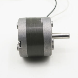DC 12v 24V Rotary Solenoid Electromagnet